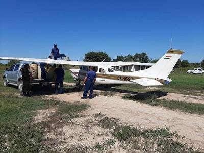 Incautan 385 kilos de cocaína y una narcoavioneta, en Bahía Negra - ADN Paraguayo