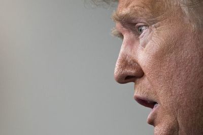 Trump promete hacer “anuncio” sobre OMS la próxima semana - Mundo - ABC Color