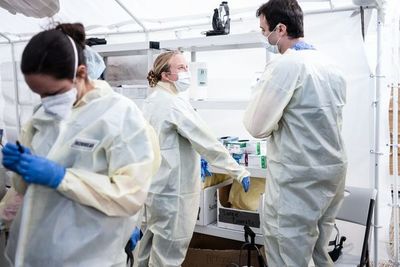EEUU registra 2.000 muertes en un solo día y supera el medio millón de casos - Mundo - ABC Color
