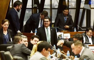 Diputados analizan la posibilidad de sesionar en un espacio más amplio fuera del Congreso - Nacionales - ABC Color