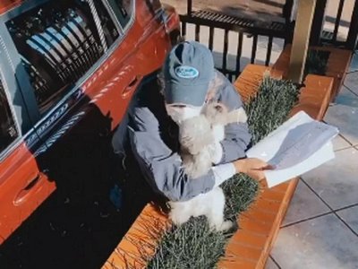 Emotivo encuentro entre mascota y su dueño que venció al Covid-19