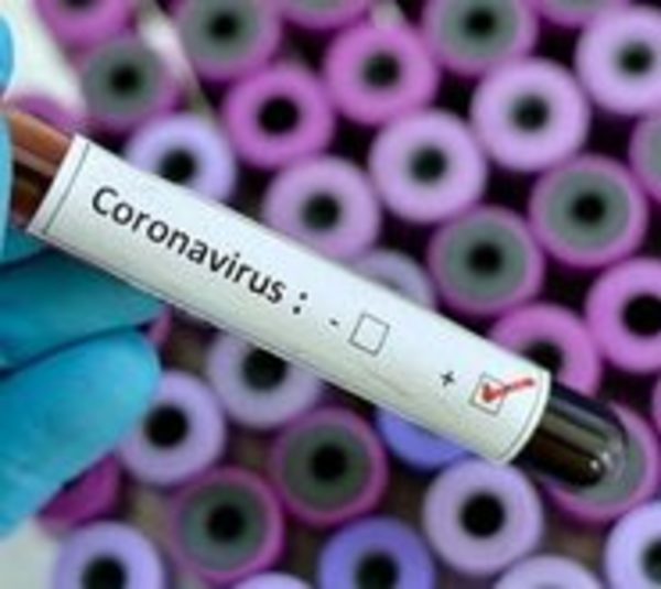 Corea del Sur: Covid-19 se reactiva en 91 pacientes ya curados - Paraguay.com