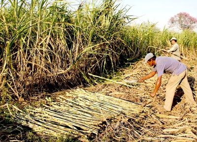 Disponen de créditos del 8% y a 2 años para sectores productivo, comercial, servicios y de consumo