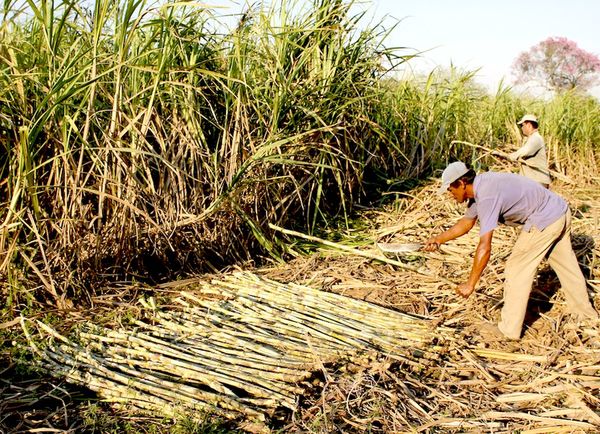 Disponen de créditos del 8% y a 2 años para sectores productivo, comercial, servicios y de consumo