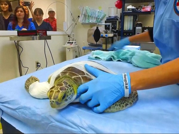 Covid-19: El Hospital de Tortugas cumple su tarea con "menos ojos"