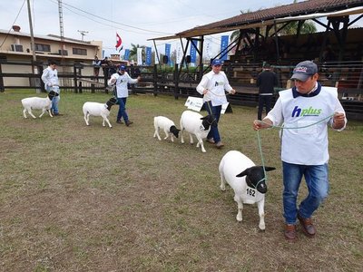 Expo Norte queda suspendida tras pandemia del Covid-19