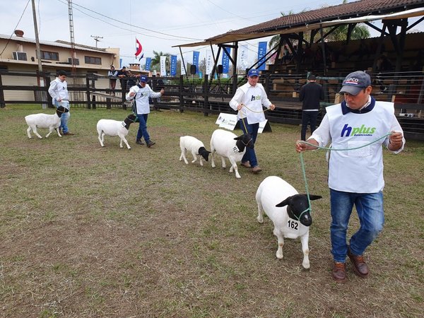 Expo Norte queda suspendida tras pandemia del Covid-19