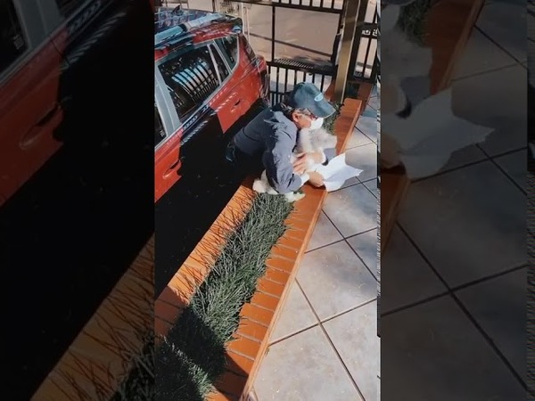 EMOTIVO ENCUENTRO ENTRE MASCOTA Y SU DUEÑO QUE VENCIÓ AL COVID-19