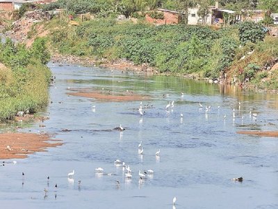 Mientras hay temor en hogares, la naturaleza se toma un respiro