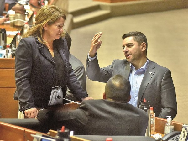 Diputados no organizan sesión y postergan temas más importantes