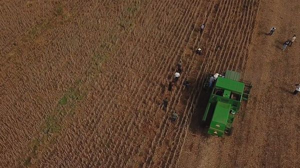 Los productores se preparan para la siembra de trigo entre abril y mayo
