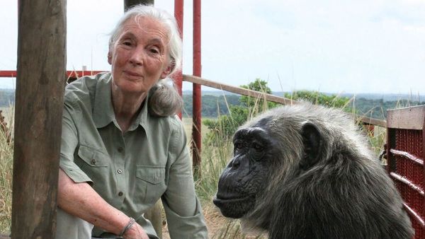 “Esta pandemia fue causada por despreciar la naturaleza”