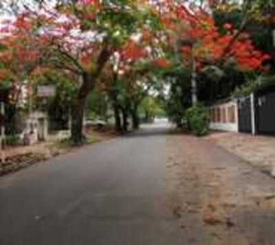 Domingo de Pascua se mantendrá con clima agradable  - Paraguay.com