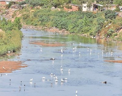 MIENTRAS HAY TEMOR EN HOGARES, LA NATURALEZA SE TOMA UN RESPIRO