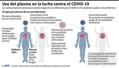 Continúa investigación de transfusión de plasma para tratamiento de COVID-19 - Radio Revista - ABC Color