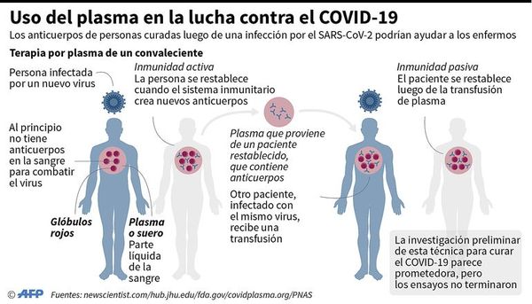 Continúa investigación de transfusión de plasma para tratamiento de COVID-19 - Radio Revista - ABC Color