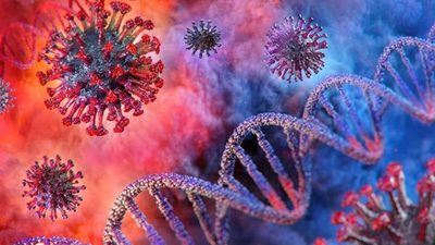 Un documental sobre el origen del coronavirus asegura que el Partido Comunista Chino ocultó que es sintético y se filtró de un laboratorio - ADN Paraguayo