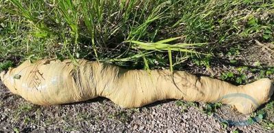 Cadáver de adolescente envuelto en cinta adhesiva fue hallado sobre la Ruta PYIII