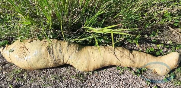 Cadáver de adolescente envuelto en cinta adhesiva fue hallado sobre la Ruta PYIII