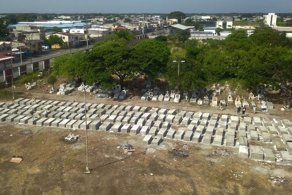 Ecuador retiró casi 800 cadáveres de viviendas de Guayaquil - Mundo - ABC Color