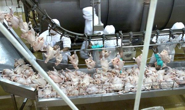 Proyectos aprobados bajo la Ley 60/90 suman US$ 81 millones