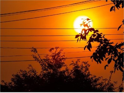 Científicos revelan imágenes inéditas de alta resolución del Sol