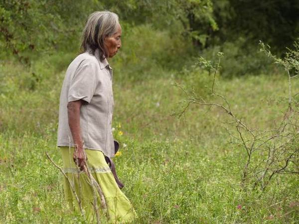 El hambre, sufrimiento diario y silencioso de comunidades indígenas - Paraguay Informa