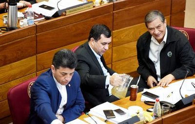 Amado Florentín preside comisión que controlará gasto del dinero de Ley de Emergencias - Nacionales - ABC Color