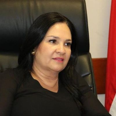 Presentan pedido de pérdida de investidura de Bajac