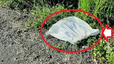 Cadáver envuelto en cinta de embalaje es de un muchacho de 17 años