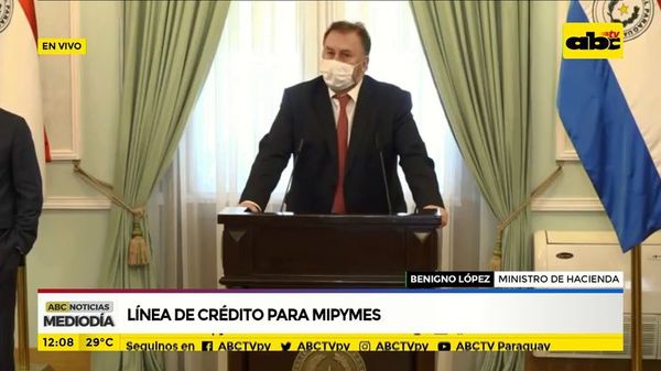 Línea de créditos para mipymes - ABC Noticias - ABC Color
