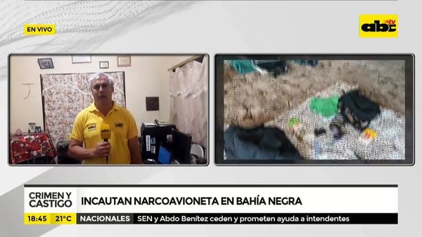 Incautaron narcoavioneta en Bahía Negra - Crimen y castigo - ABC Color