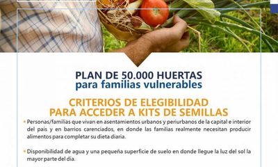 Semillas aun no llegan al Alto Paraná