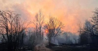 Incendios forestales en Chernóbil se van acercando a depósitos de la central nuclear