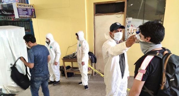 Estudiantes usan eucalipto para "destruir" el coronavirus