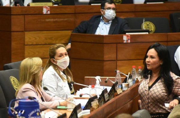 Senado expulsa hoy a Bajac por el uso indebido de sus influencias - Digital Misiones