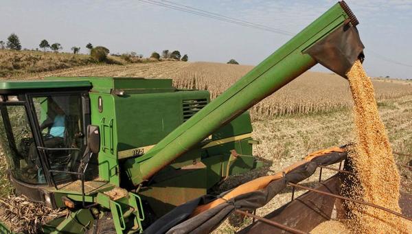 Cosecha de soja en Paraguay superaría las 10,5 millones de toneladas