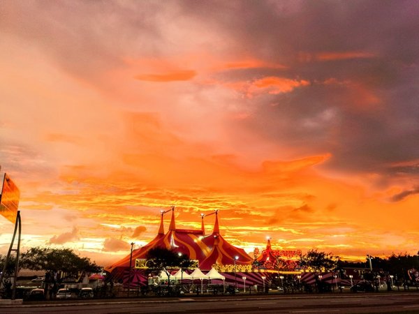Covid-19: Artistas de circo piden al Gobierno atender al gremio del espectáculo
