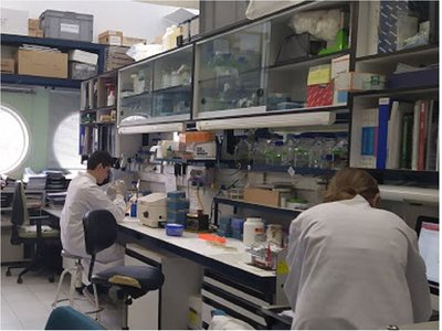 EEUU estudiará la eficacia de un medicamento para el reuma contra Covid-19