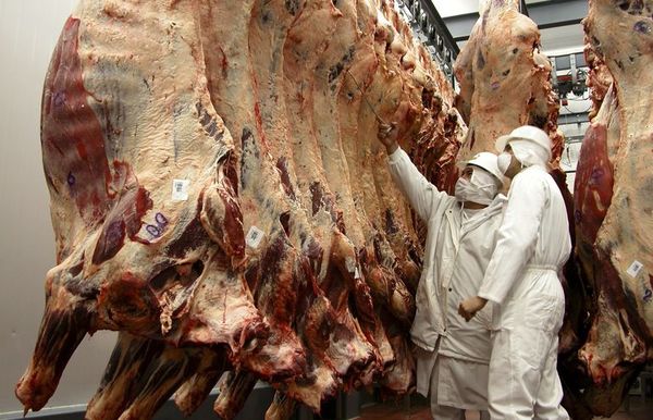 Se paga menos por faena, pero el precio al consumidor no baja - Economía - ABC Color