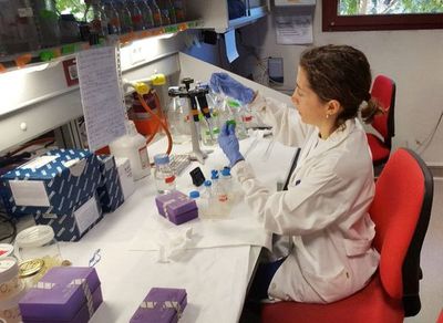 Conacyt financiará  proyectos de investigación sobre covid - Locales - ABC Color