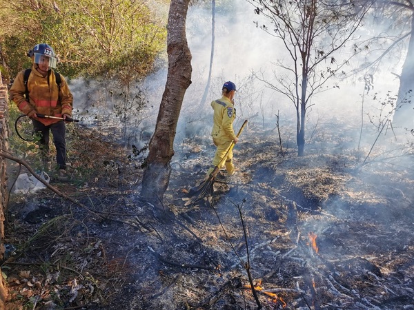 “PETARDO” político provoco incendio en pastizal de la UNE