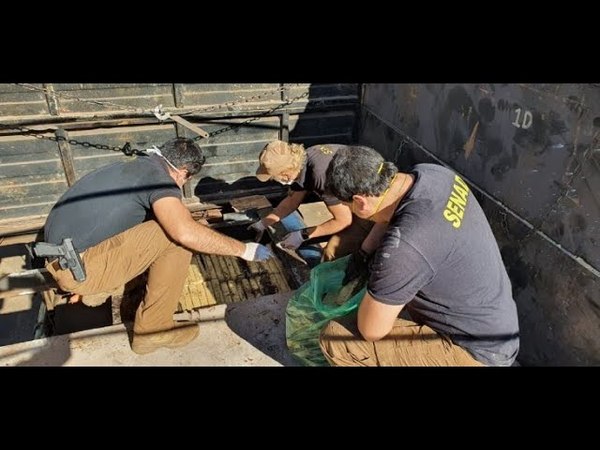 INCAUTAN CAMIÓN QUE TRANSPORTABA MARIHUANA AL BRASIL