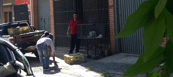 Vecinos indignados denuncian matanza de pollos en plena calle