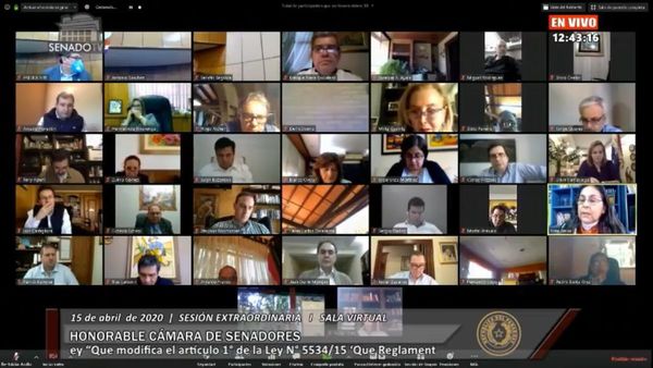 Senado elimina la elección de los parlasurianos