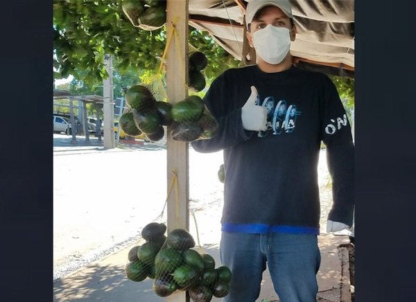 Una planta de aguacate le está dando sustento | Crónica
