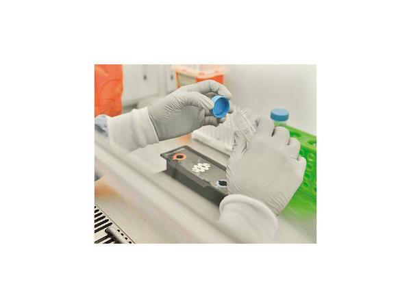 Islandia da ejemplo de cómo combatir al coronavirus