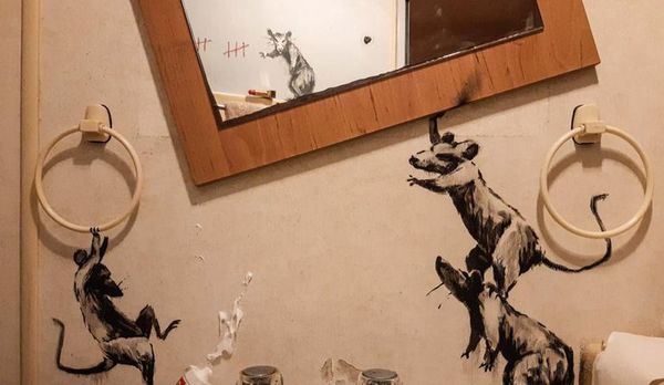 Banksy, confinado, pinta su nueva obra en su baño - Artes Plásticas - ABC Color