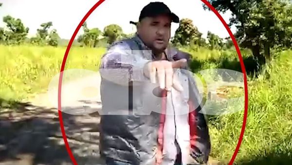 Confirmaron presencia de Diputado durante intervención de tala irregular en Parque Nacional Serranía San Luis - A La Gran 7-30 - ABC Color
