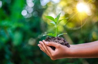La Madre Tierra, más sostenible y habitable para las generaciones que vendrán - Periodismo Joven - ABC Color